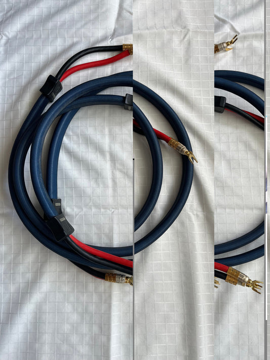 PS Audio Statement Speaker cables -6 Ft. Pair -Used