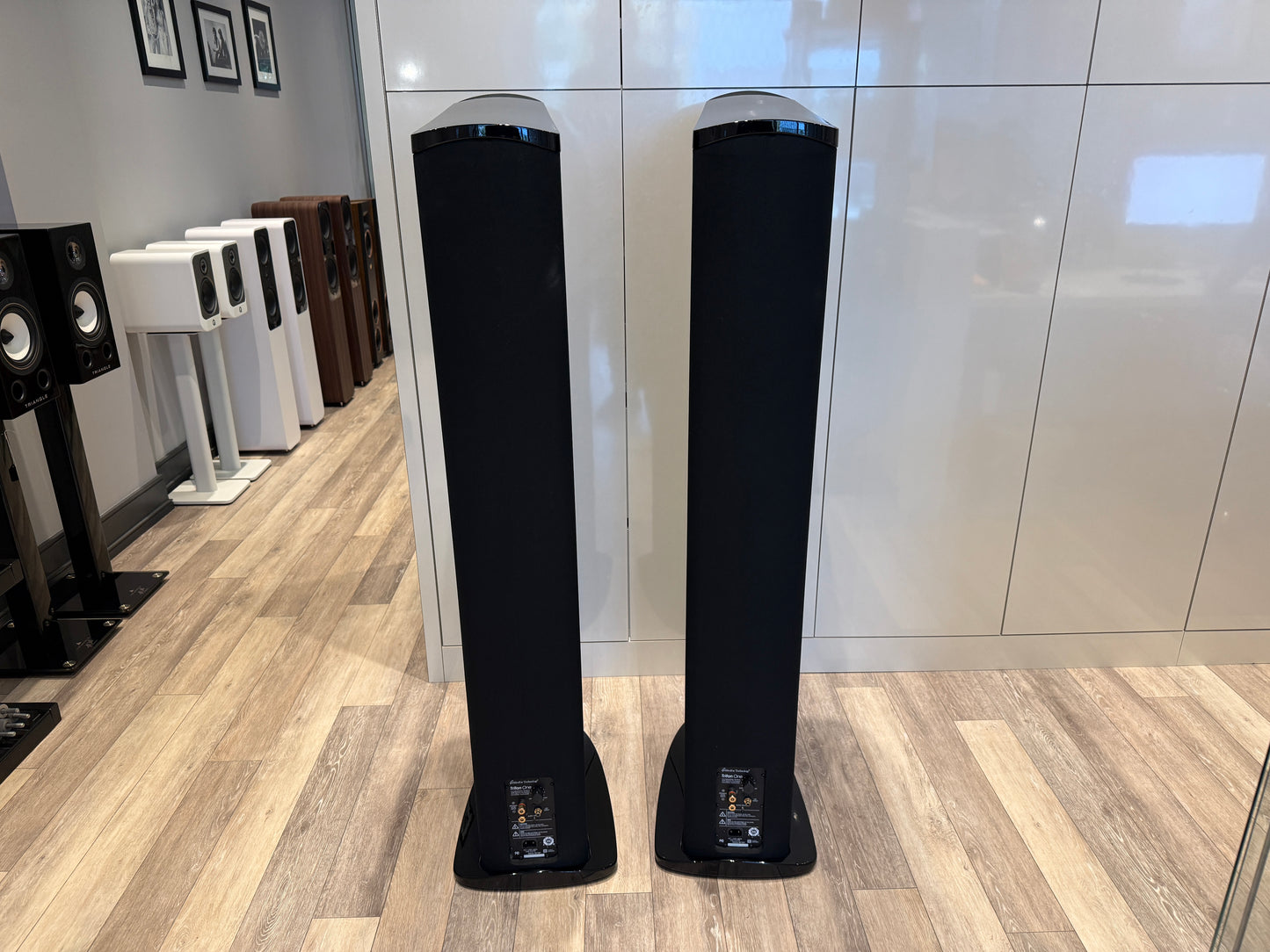 GoldenEar Triton One Floorstanding Speakers (Consignment)