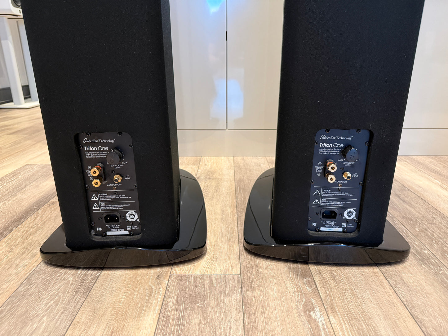 GoldenEar Triton One Floorstanding Speakers (Consignment)