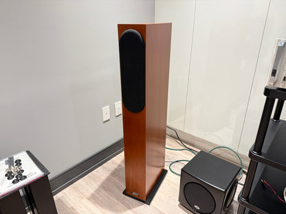 ASW Genius 300 Floorstanding Speakers