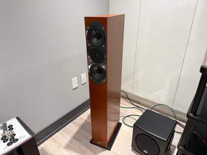 ASW Genius 300 Floorstanding Speakers