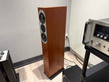 ASW Genius 300 Floorstanding Speakers