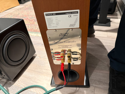 ASW Genius 300 Floorstanding Speakers