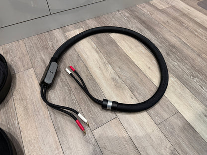 Shunyata Research Sigma Reference Speaker Cable 2M Pair (consignment)