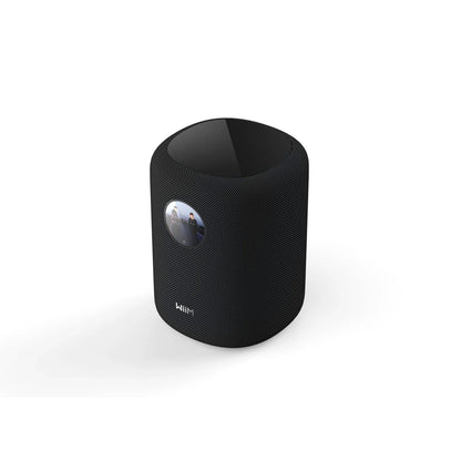 WiiM Sound - Smart Streaming Speaker