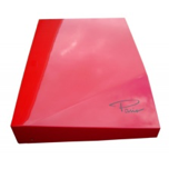 Oracle Paris PH200 Phono Preamplifier-Turntable-Oracle-Executive Stereo